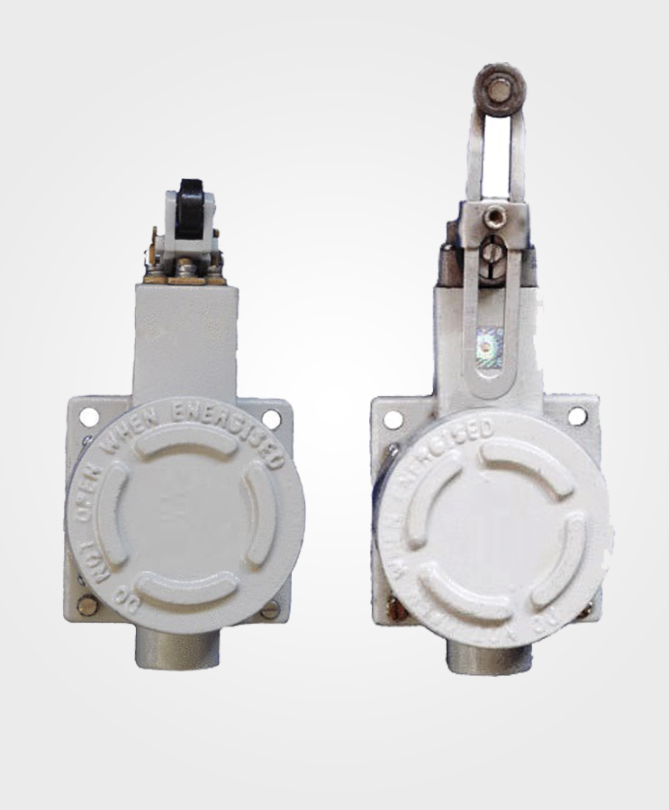 Flameproof Limit Switch (Roller/Lever type)
